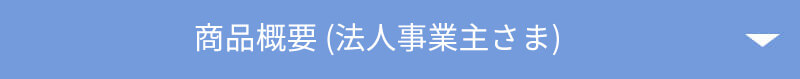 商品概要(法人事業主さま)