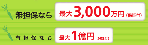 無担保なら最大3,000万円（保証付）有担保なら最大1億円（保証付）