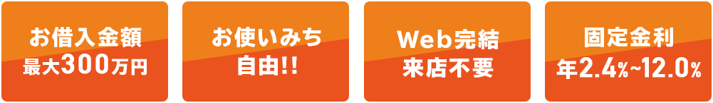 お借入金額最大300万円、お使いみち自由、web完結来店不要、固定金利年2.4～12.0%