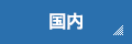 国内