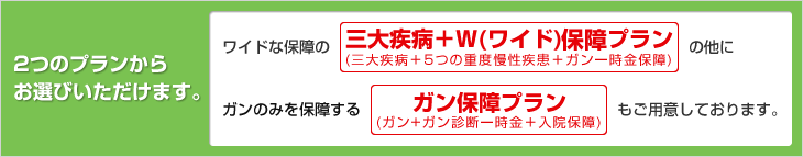 2つのプランからお選びいただけます。 2つのプランからお選びいただけます。