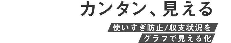 カンタン、見える 使いすぎ防止/収支状況を グラフで見える化