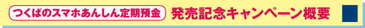 発売記念キャンペーン概要