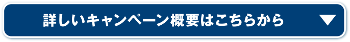 詳しいキャンペーン概要はこちらから