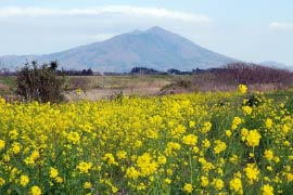 つくば市：筑波山