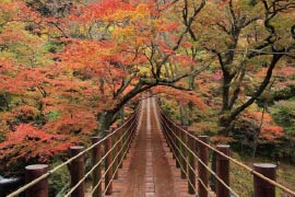 高萩市：花貫渓谷